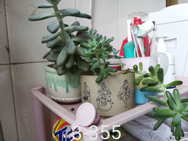 -379ca7e9f508f46a_副本.jpg