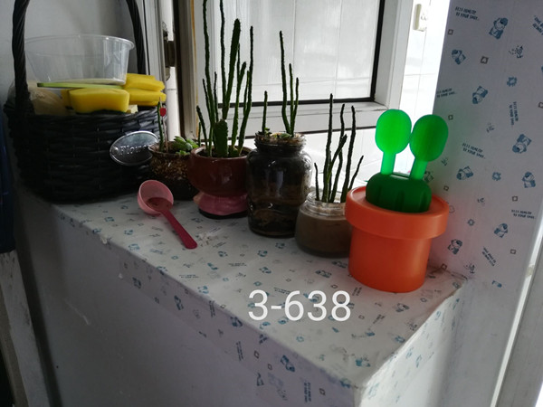 73976f3fd66a6ef3_副本.jpg